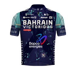 Img maglia